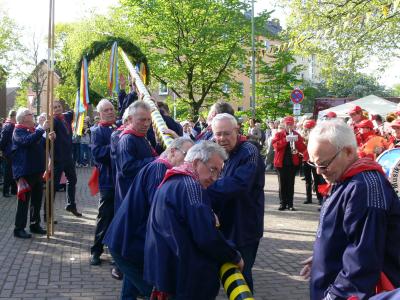 Männer in Tracht stellen Maibaum auf