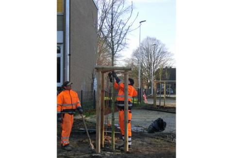 Zwei Arbeiter am Baum mit Dreibock