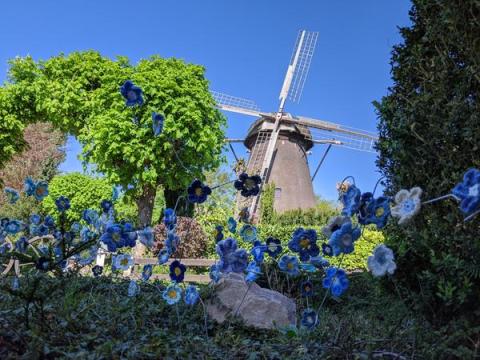Gestrickte Flachsblüten auf Bügel gesteckt, im Hintergrund Mühle