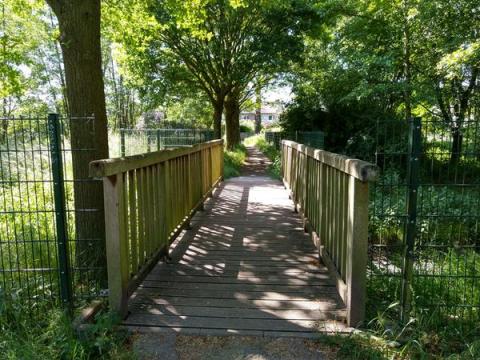 Holzbrücke im Grünen