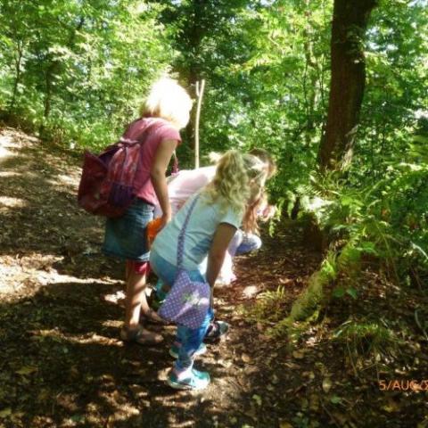 Kinder stehen im Wald