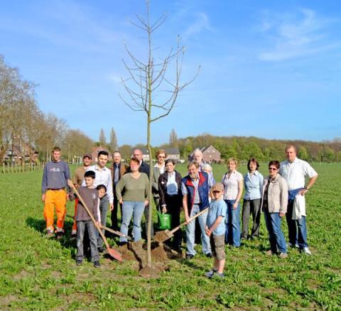 Baum des Jahres