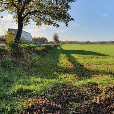 Feld neben einer Straße