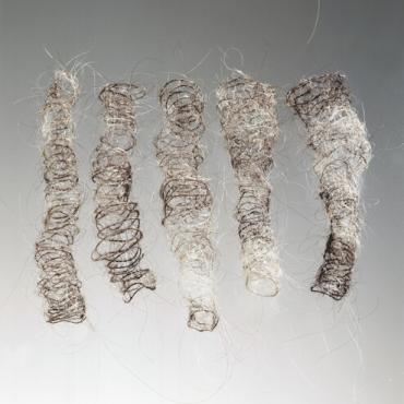 Kunstwerk aus Haaren Kunstwerk aus Haaren